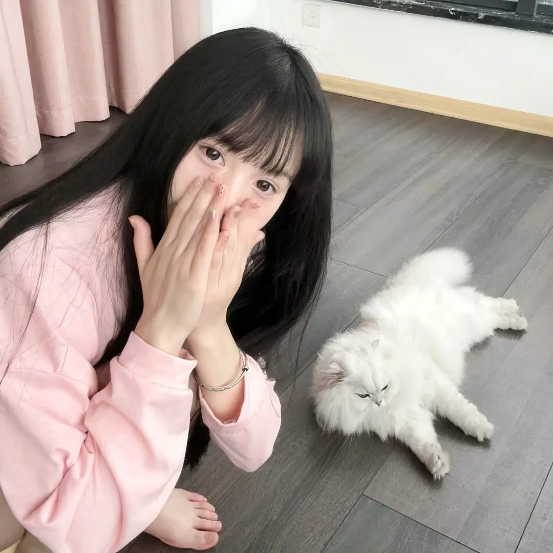 纳粹追凶