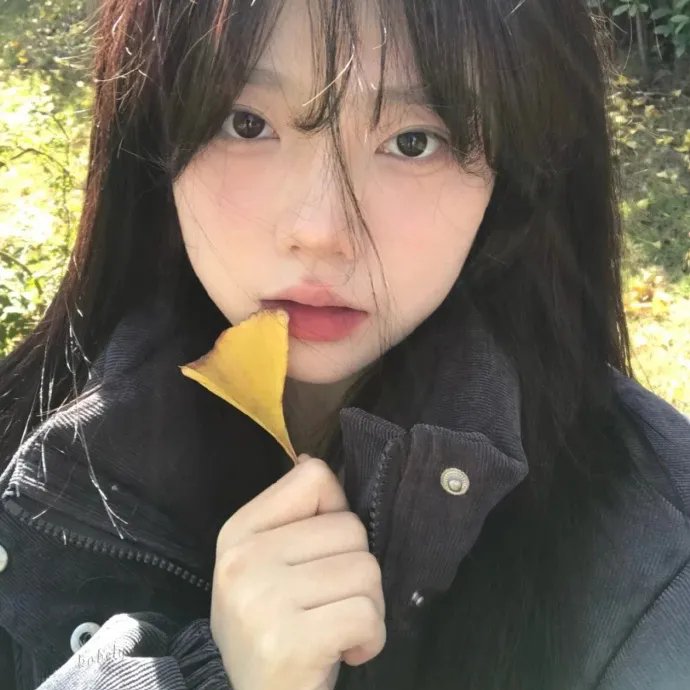 燃情四季